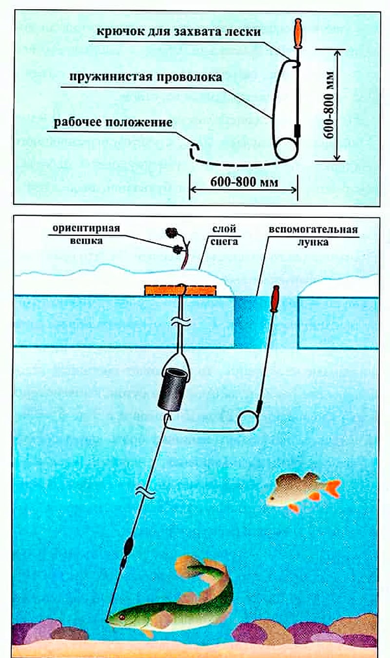 Ловля налима в остывающей воде - полезная статья на рыболовную тематику | Рыболов НН